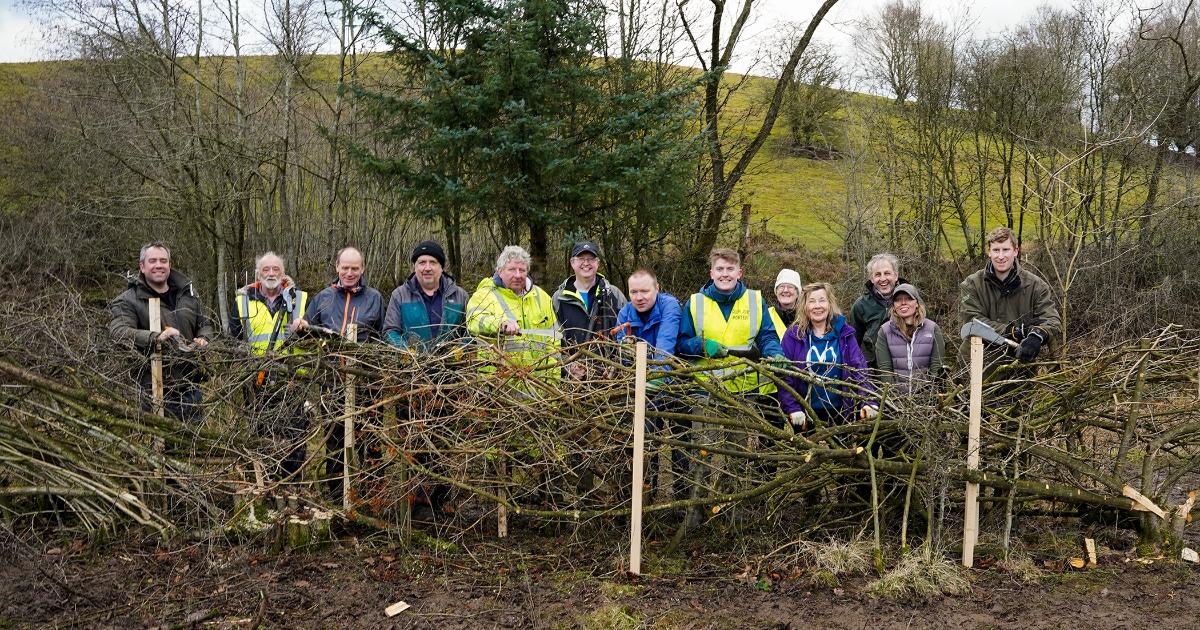 Increasing biodiversity through heritage hedges - Staffordshire ...